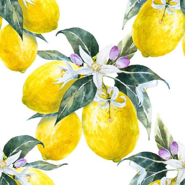 水彩レモン パターン — ストック写真