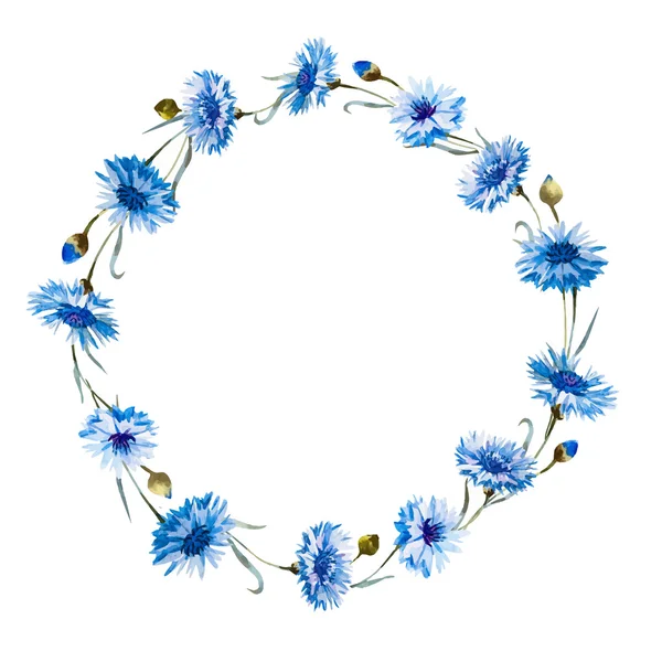 Couronne aquarelle de bleuet — Image vectorielle