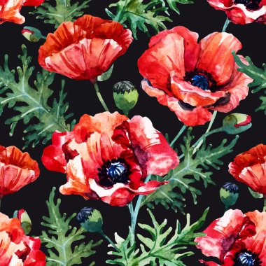 Suluboya haşhaş çiçek deseni