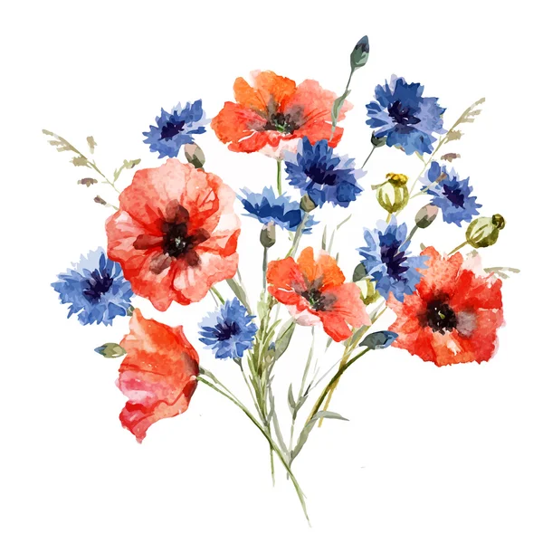 Wild flower bouquet — Stock Vector
