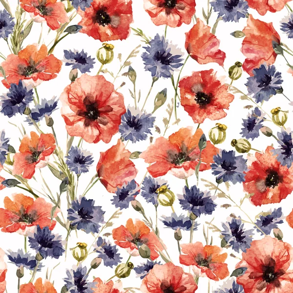 Aquarel poppy en korenbloem patroon — Stockvector