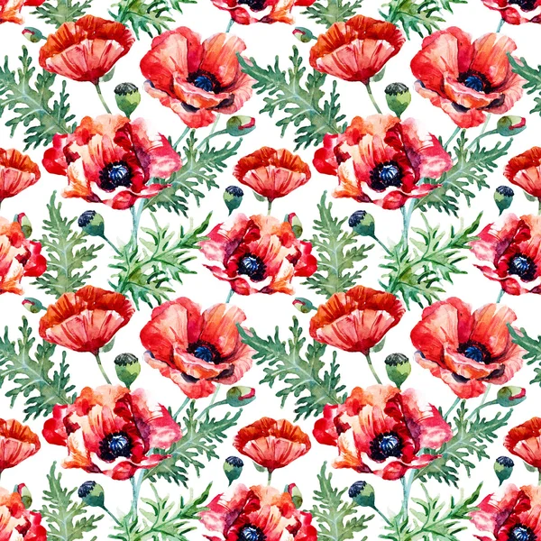 Aquarel poppy bloemenpatroon — Stockfoto
