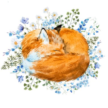 Fox uyku suluboya
