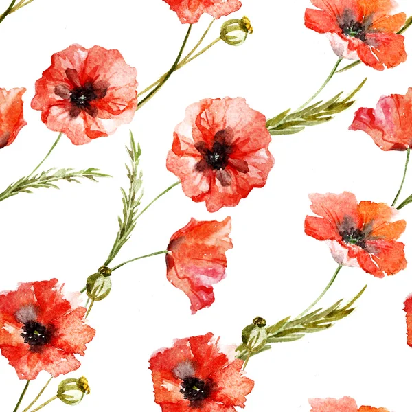 Aquarel poppy veldboeket patroon — Stockfoto