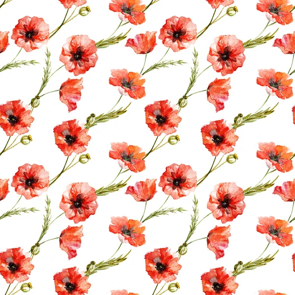 Vzorek akvarel mák Květiny — Stock fotografie