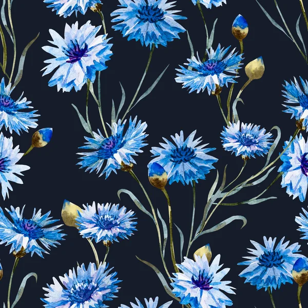 Cornflower watercolor pattern — Stock Photo, Image