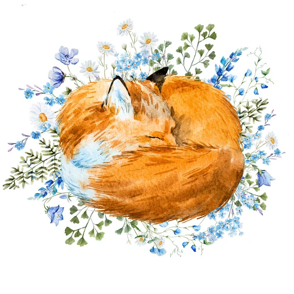 Akvarell, alvás, fox — Stock Fotó