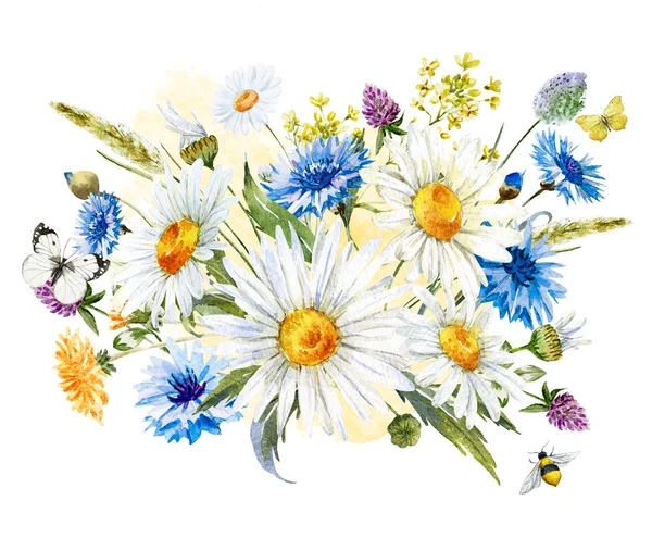 Watercolor wild flowers composition — Stock Photo, Image