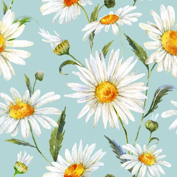 Aquarel daisy patroon — Stockfoto