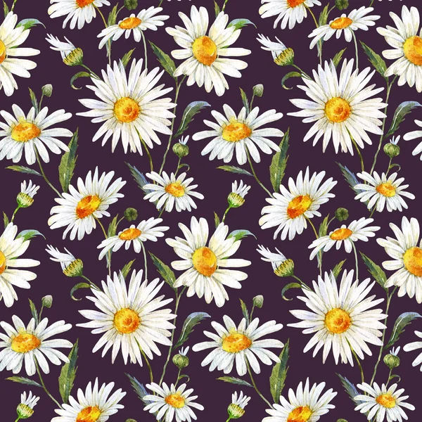 Watercolor daisy pattern — Stock Photo, Image