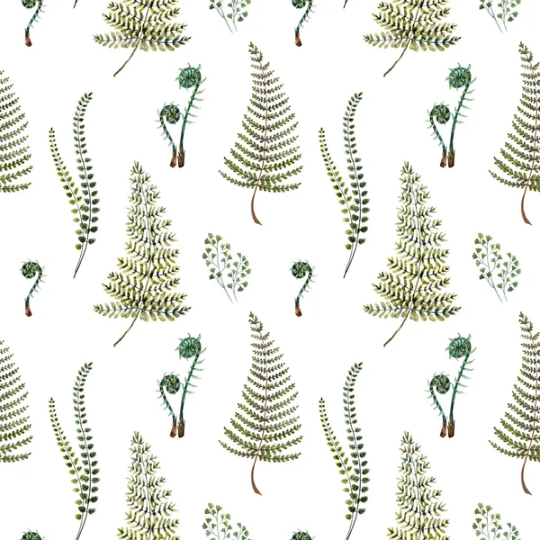 Watercolor fern pattern — Stock Photo, Image