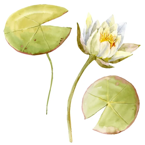 Aquarel lotusbloem — Stockvector