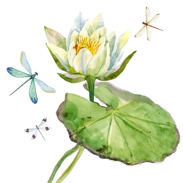 Flor de lótus aquarela — Vetor de Stock