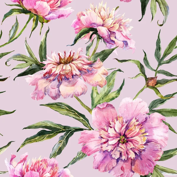 Watercolor peony pattern — Stock Photo, Image