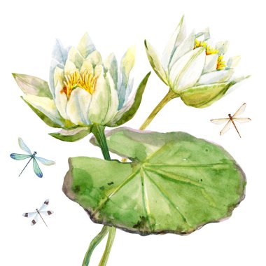 Watercolor lotus flower clipart