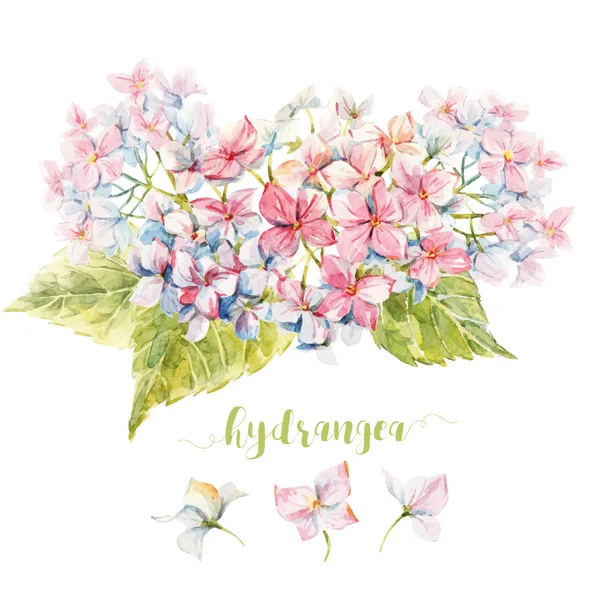 Aquarel hortensia samenstelling — Stockvector