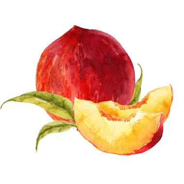 Suluboya lezzetli şeftali