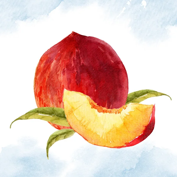 水彩のおいしい桃 — ストック写真