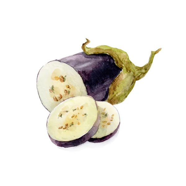 Akvarell handritad aubergine — Stock vektor