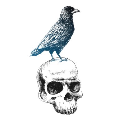 Vektör kafatasında kuzgun