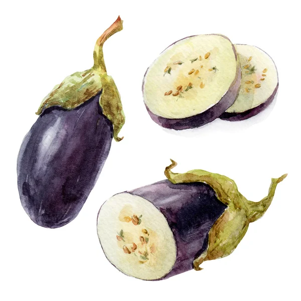 Suluboya el çizimi patlıcan — Stok fotoğraf