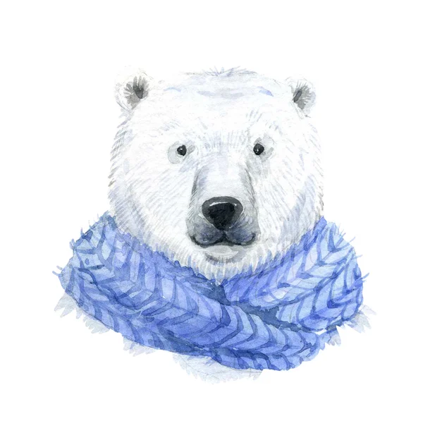 Polar bear in a blue scarf — Stock Photo, Image