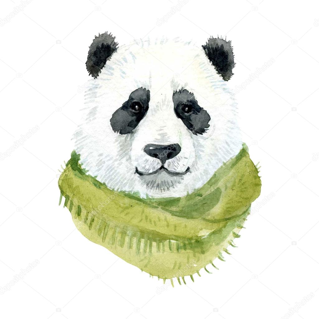 Panda bear wearing a scarf