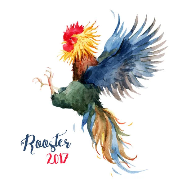 Watercolor cock rooster — Stock Vector