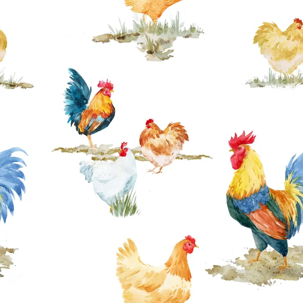 Patrón gallo polla acuarela — Archivo Imágenes Vectoriales