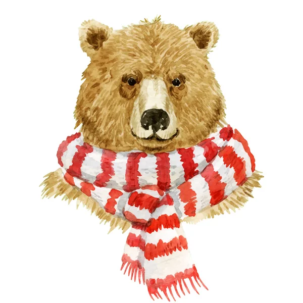 Brown bear wearing a scarf — Stock Vector