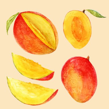 Suluboya el çekilmiş mango