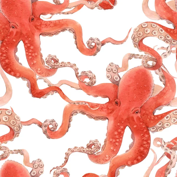 Beautiful seamless underwater pattern with watercolor red octopus. Stock illustration. — Stock Photo, Image