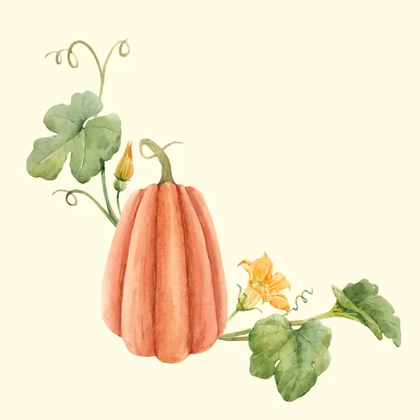 Hermoso vector stock ilustración con acuarela calabaza vegetal. — Archivo Imágenes Vectoriales