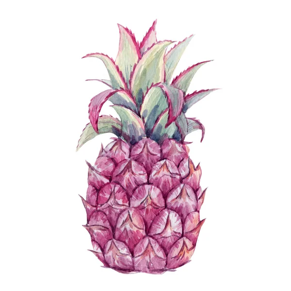 Krásný obraz s akvarelem ananas. Stock illustration. — Stock fotografie