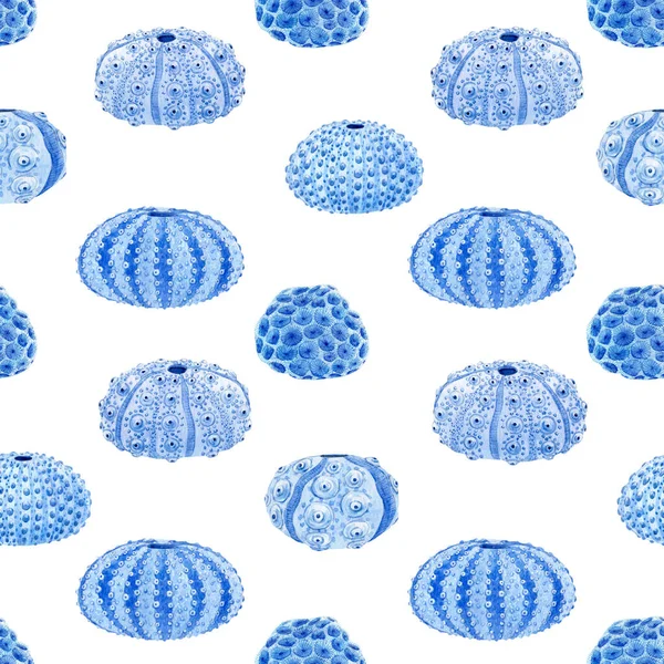 Beautiful seamless underwater pattern with watercolor sea urchin. Stock illustration. — Stock Photo, Image