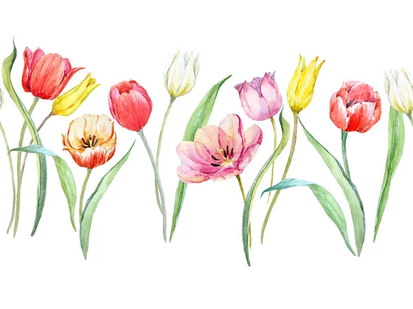Bel modello orizzontale senza soluzione di continuità con acquerello delicato fiori di tulipano in fiore. Illustrazione delle scorte. — Foto Stock