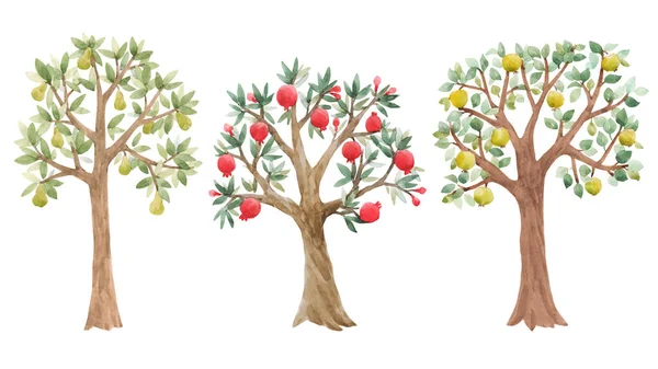 Wunderschönes Set mit niedlichen Aquarell-Obstbäumen. Archivbild. — Stockfoto