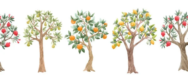 Beau motif sans couture avec de mignons arbres fruitiers aquarelle. Illustration du verger. — Photo