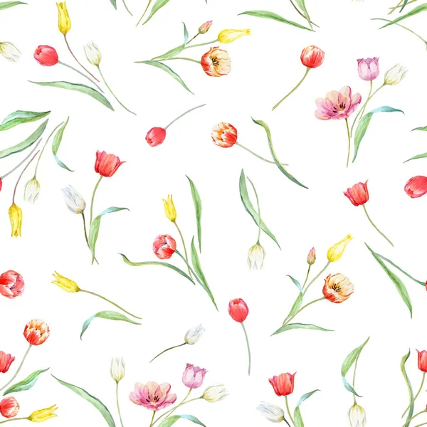 水彩の優しい開花チューリップの花と美しいベクトルシームレスパターン。ストックイラスト. — ストックベクタ