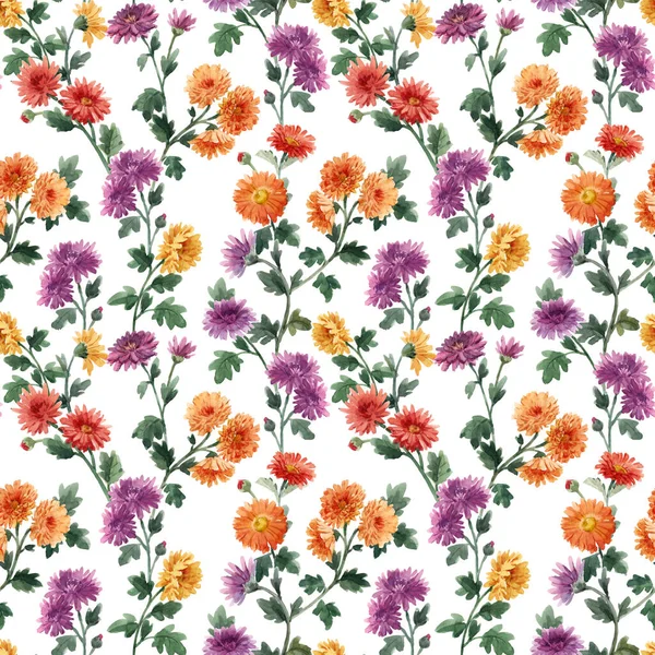 Beautiful seamless floral pattern with watercolor gentle blooming chrysanthemum flowers. Stock illustration. — Stock Photo, Image