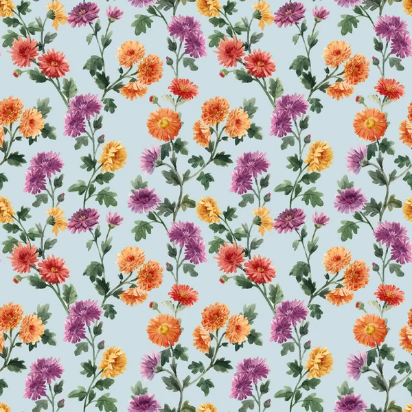 Цветочный узор с акварелью, нежно цветущими цветками хризантемы. Иллюстрация. — стоковое фото