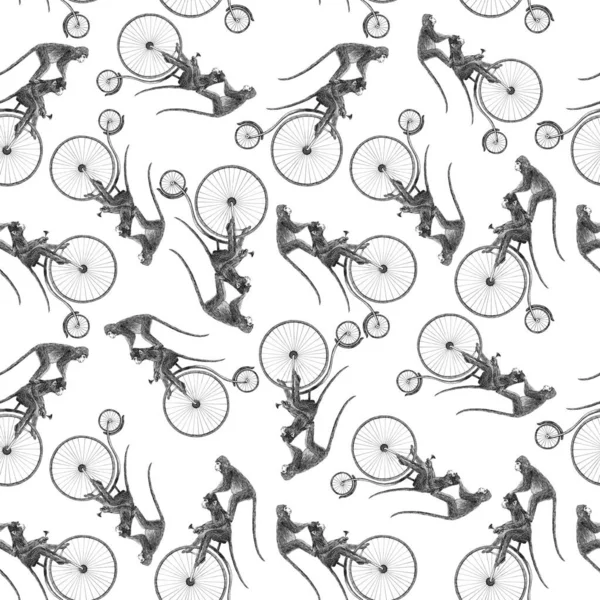Όμορφο απόθεμα αδιάλειπτη μοτίβο με χαριτωμένο χέρι που μαϊμού σε ποδήλατο μολύβι εικονογραφήσεις. — Φωτογραφία Αρχείου