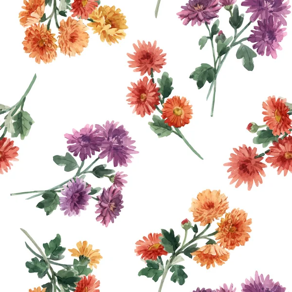 Belo padrão floral sem costura com aquarela flores de crisântemo florescendo suave. Ilustração das existências. — Vetor de Stock