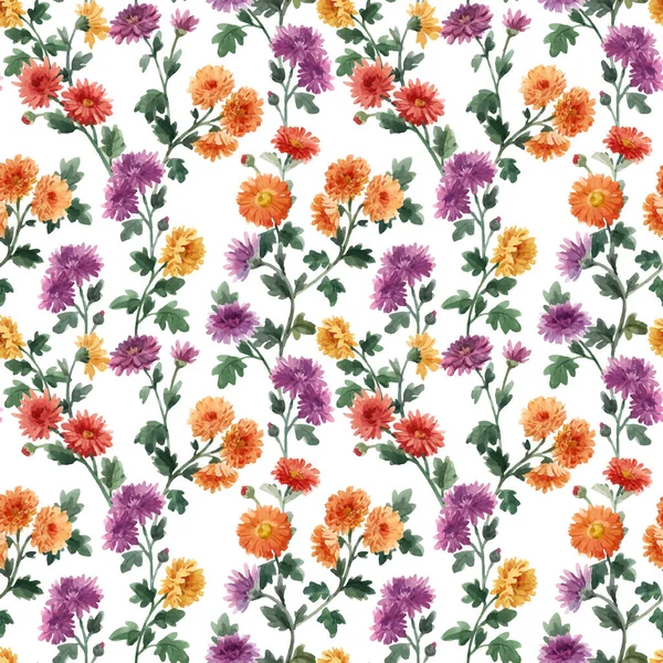 Krásný bezešvé květinový vzor s akvarelem jemné kvetoucí chryzantémy květiny. Stock illustration. — Stockový vektor