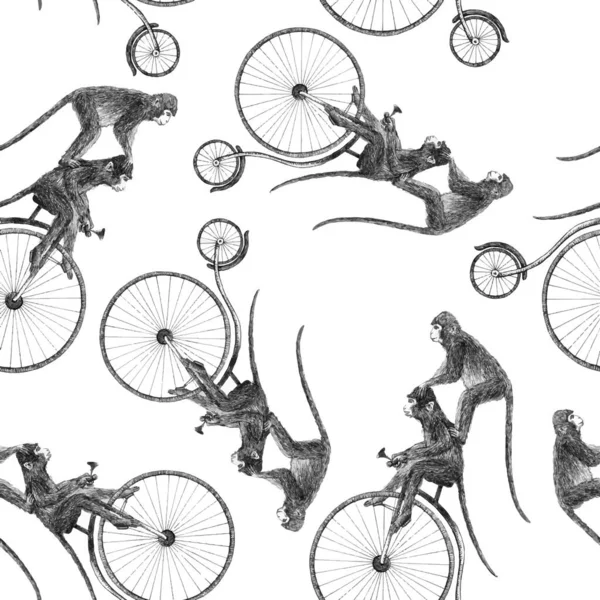 자전거 연필 삽화에 손으로 그린 귀여운 원숭이가 그려져 있는 아름다운 벡터 스펀지없는 무늬. — 스톡 벡터