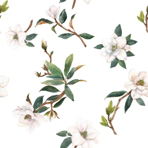 Bellissimo modello senza soluzione di continuità con fiori magnolia bianco acquerello disegnato a mano. Illustrazione delle scorte. — Foto Stock