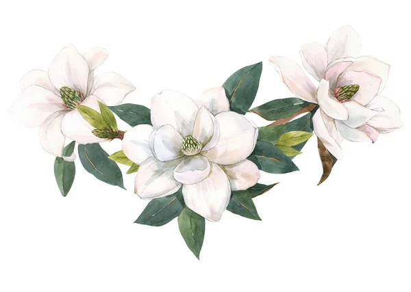 Beautiful stock illustration with gentle hand drawn watercolor floral composition. Magnolia flowers. — Stock Photo, Image