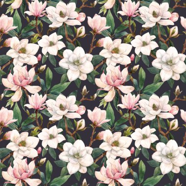 Elle çizilmiş suluboya, beyaz ve pembe manolya çiçekleri ile kusursuz bir desen. Stok illüstrasyonu.