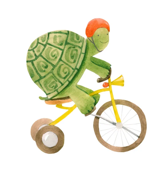 Gyönyörű stock illusztráció aranyos akvarell baba teknős kerékpáron. Állat kerékpár kézzel rajzolt festmény. — Stock Fotó