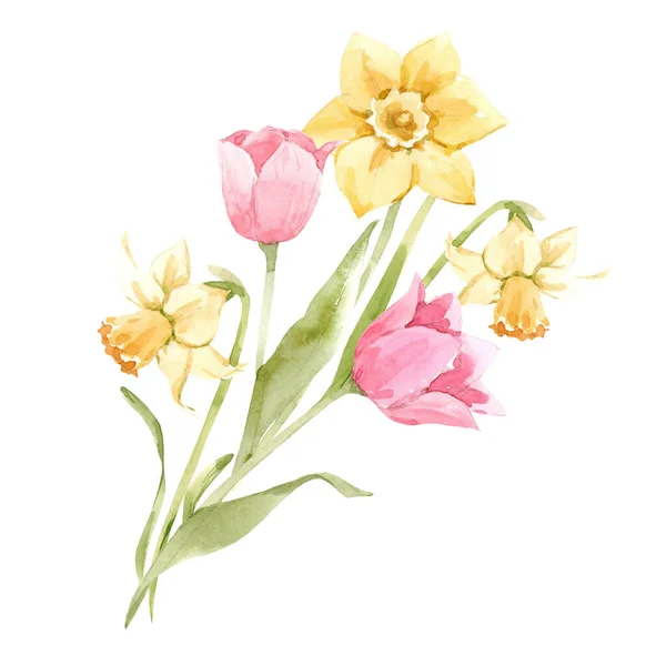 Schönes Bild mit Aquarell sanft blühenden Frühlingsblumen. Archivbild. — Stockfoto